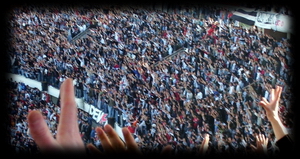 Beşiktaşlılar, Oyuna gelmeyin!