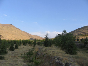 Kresel Isnma