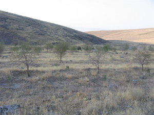 Kresel Isnma