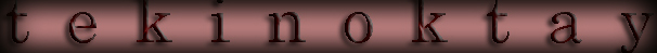 www.tekinoktay.com
